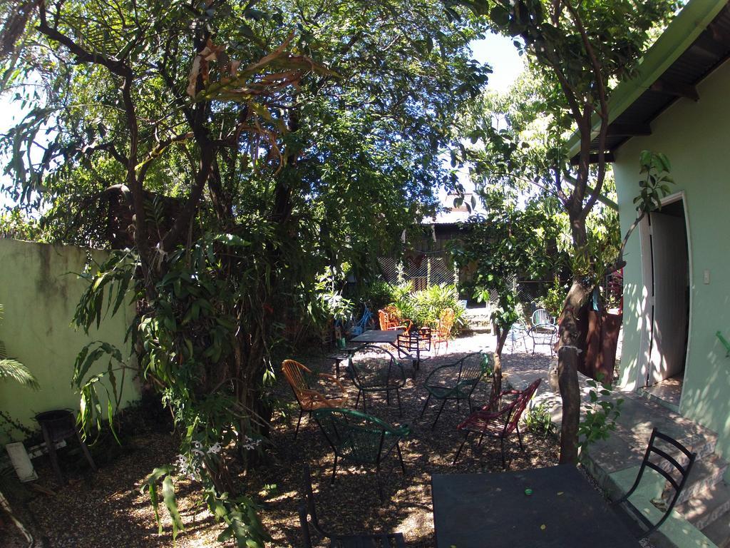 Hamaca Paraguaya Hostel Асунсьон Экстерьер фото