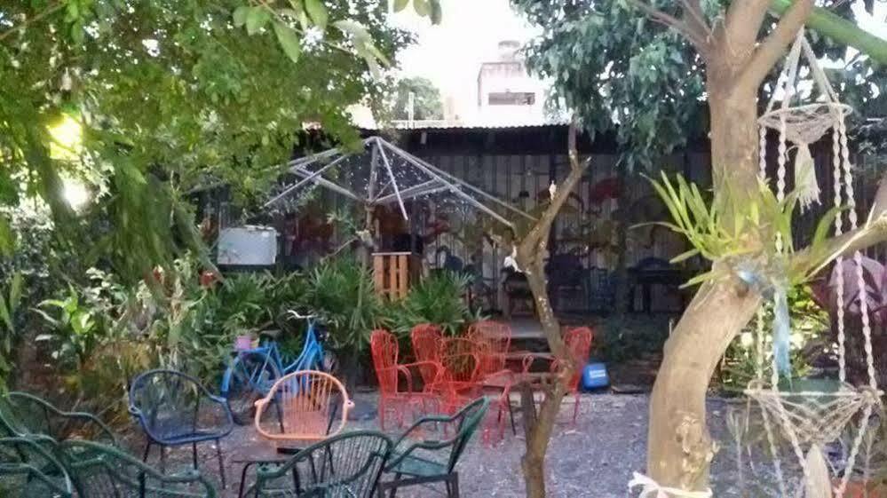 Hamaca Paraguaya Hostel Асунсьон Экстерьер фото
